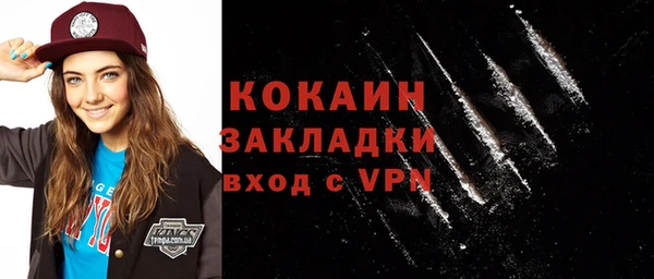 прущие грибы Беломорск