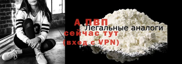прущие грибы Беломорск
