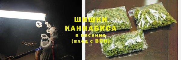 прущие грибы Беломорск