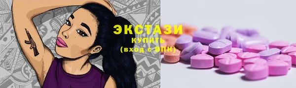 индика Богородск