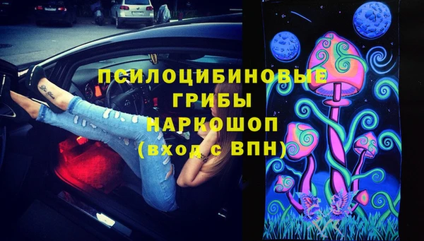 прущие грибы Беломорск