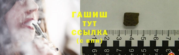 индика Богородск