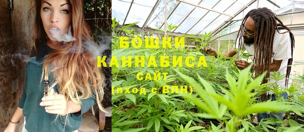 индика Богородск